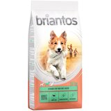 briantos 14/12 kg suha hrana po posebni ceni! - Adult Sensitive jagnjetina & riž 14 kg Cene