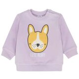 Cool club DUKS | Eponuda.ba