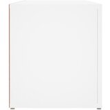TV ormarić bijeli 100 x 31,5 x 35 cm od konstruiranog drva | Eponuda.com