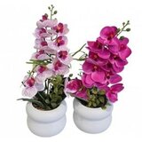 Cvijeće u saksiji orhideja10x30cm CH65512 Cijene