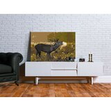 Slika za samostalno slikanje - Deer on Rut 60x40 | shoptok.hr