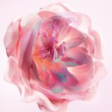 Dior Miss vlažilna krema za telo odišavljen za ženske 150 ml | Shoptok.si