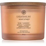Chesapeake Bay Candle Mind & Body Love & Passion dišeča sveča I. 312 g Cene