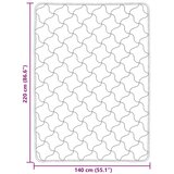  Poletna odeja Antracit 140 x 220 cm Mikrofibra in Teddy flis, (5000284349) | Shoptok.si
