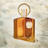 Afnan Supremacy in Oud Extrait de parfum 100 ml (unisex) | shoptok.hr