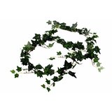  Girlanda hedera 180 cm | ePonuda.com