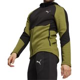 Puma muški duks sa kapuljačom EVOSTRIPE FULL-ZIP DK, Maslinasto-crni Cene