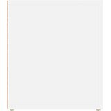  TV ormarić bijeli 100 x 35 x 40 cm od konstruiranog drva Bijela | Shoptok.si