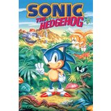 Steam Sonic The Hedgehog (PC) Key GLOBAL Steam Sonic The Hedgehog (PC) Key GLOBAL Slike