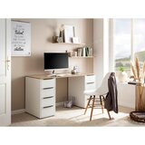 MID.YOU Regal Elma, Barva Hrasta | Shoptok.si