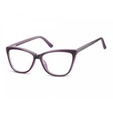 Berkeley naočare za kompjuter CP115D | ePonuda.com