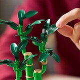 Lego Botanical Collection: Bambus za srečo | Shoptok.si