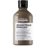  Šampon za obnovu kose Loreal SE Absolut Repair Molecular – 300 ml (R) | Eponuda.ba