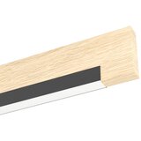 Eglo 99292 - LED prigu&amp;scaron;iva stropna svetiljka CAMACHO 2xLED/10W/230V Slike