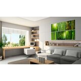  Slika - Bamboo has many faces 60x40 | shoptok.hr