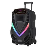 Zvucnik NDR-V12 12 inc karaoke s wireless mikrofonom