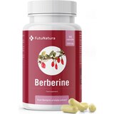  Berberin 500 mg - 90 kaps. | Shoptok.si
