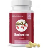  Berberin 500 mg - 90 kaps. | shoptok.hr