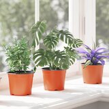  Okrugla saksija za cveće 200 pcs Terakota Ø 10 x 8 cm Plastika | shoptok.hr