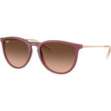 Ray-ban Erika Naočare za sunce RB 4171 6815A5 | ePonuda.com
