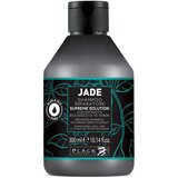  Šampon za obnovu kose Black Jade Supreme – 300 ml | Eponuda.ba