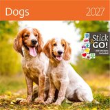  Stenski koledar 2027, Kužki, z nalepkami Cene
