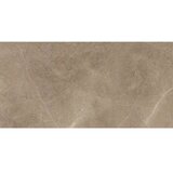 Elegant taupe 30x60 Cene