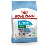 Royal Canin mini starter mother/babydog Cene