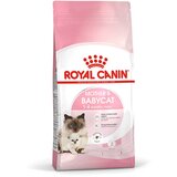 Royal Canin mother & babycat - hrana za skotne i dojilje mačke i mačiće u prvoj fazi rasta (400g, 2kg) 400g Cene