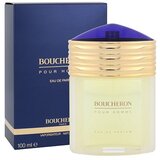 Boucheron Pour Homme parfumska voda 100 ml za moške Cene
