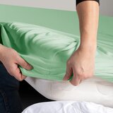 DecoKing Svetlo zelena napenjalna rjuha iz jerseyja 200x200 cm Amber – | Shoptok.si