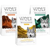  POSKUSNA AKCIJA: Wolf of Wilderness Adult miks - "Power Mix Explore" Performance, Mobility, Weight Management (3 x 1 kg) | shoptok.hr