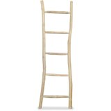vidaXL Lestev za brisače s 5 prečkami tikovina 45x150 cm naravne barve Cene