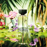 Guy Laroche Fidji toaletna voda za ženske 50 ml | Shoptok.si