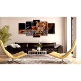  Slika - Nocturnal Predator 200x100 | shoptok.hr