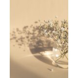 Venture Home poster White Flowers 30 × 40 cm, bež | shoptok.hr