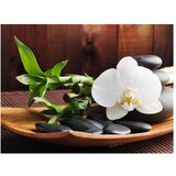  Tapeta - temple zen 200x154 | shoptok.hr