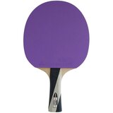 Gewo Lopar za namizni tenis PS Blast Power, (20472893) | Shoptok.si