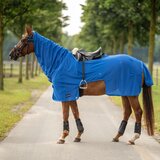 Busse Jahalno pregrinjalo MOSKITO III, Royal Summer - 155 cm | Shoptok.si