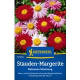 KIEPENKERL Barvite marjetice - 1 pkt. Cene