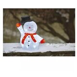 Emos led božični snežak s klobukom, 36 cm, zunanji in notranji, hladna bela, časovnik DCFC18 | Shoptok.si