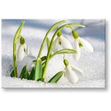  Slike na platnu cveće (moderne slike na platnu) | ePonuda.com