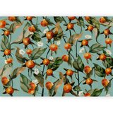 Artgeist Fototapeta Orange Grove, 200x140cm | Shoptok.si