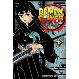 VIZ Media Demon Slayer: Kimetsu no Yaiba, Vol. 12 | Eponuda.com