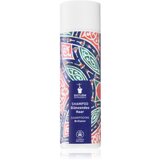 Bioturm Šampon za sijoče lase Nr.102 - 200 ml Cene