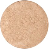 Provida Organics Earth Minerals Satin finiš puder - Sayomi Cene