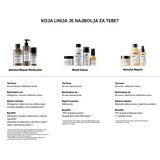 L´Oréal Paris Serie Expert Absolut Repair Molecular krepilni šampon za poškodovane lase 300 ml | Shoptok.si