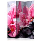  Paravan u 3 dijela - Orchid flowers with zen stones [Room Dividers] 135x172 Cijene