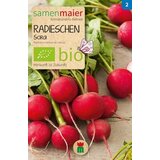 Samen Maier BIO redkvica Sora Cene