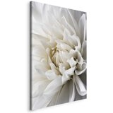  Slika - White Dahlia 40x60 | shoptok.hr